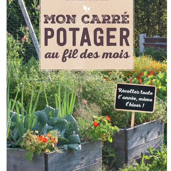 Mon carré potager au fil des mois