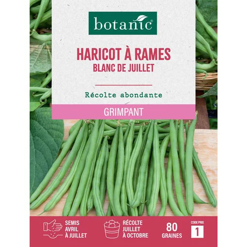 Graines de haricot rames blanc de Juillet à rames botanic® - graines à semer