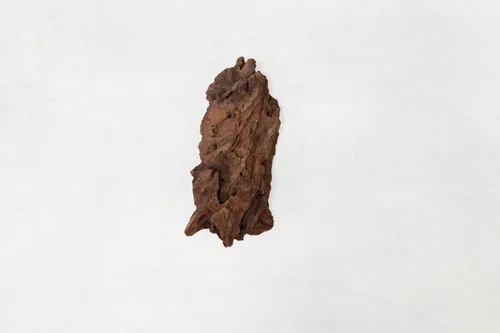 Décor pour aquarium coloris marron racine Mangrove MS Aquavie - 25 à 40 cm