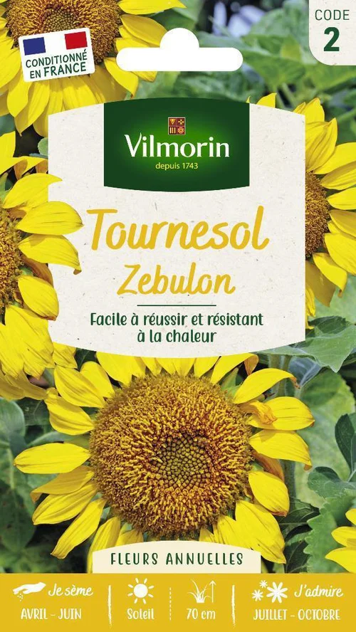 Graines de Tournesol Zebulon Vilmorin - graines à semer