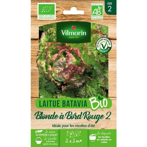 Graines de laitue blonde à bord rouge 2 bio Vilmorin - graines à semer