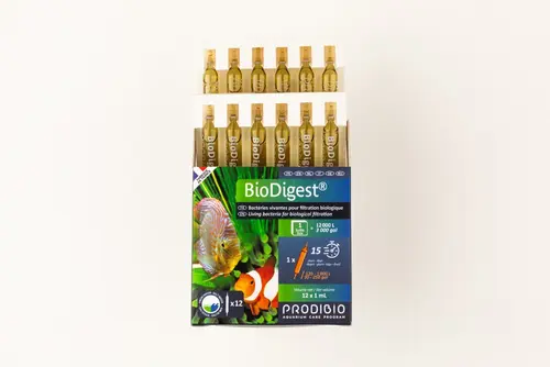 Boîte d'ampoules Prodibio Biodigest - x 12
