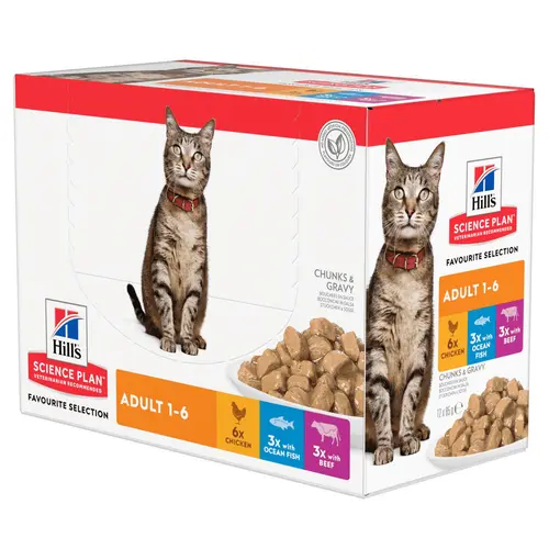 Pâtée féline adulte multipack 12 x 85 g