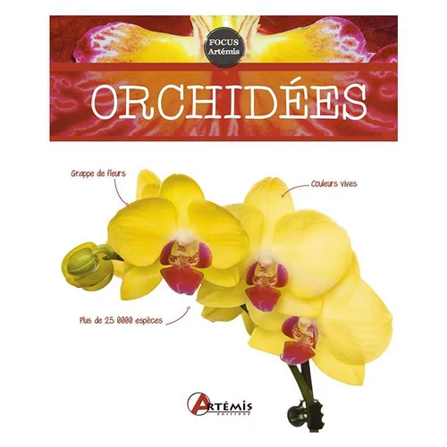 Orchidées