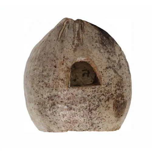 Noix de coco pour terrarium coloris marron Reptile Planet Coco Home