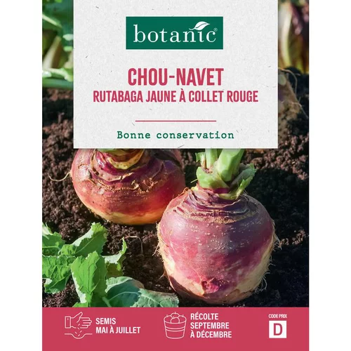 Graines de Chou-navet rutabaga jaune à collet rouge botanic® - graines à semer