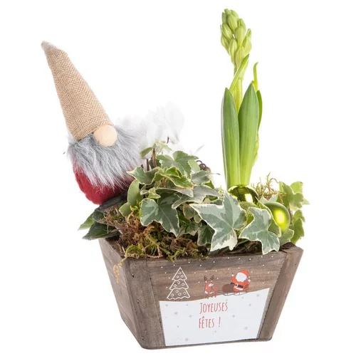 Composition de Noël jacinthe cyclamen multicolore pot en bois