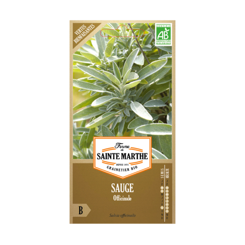 GRAINES SAUGE OFFICINALE BIO