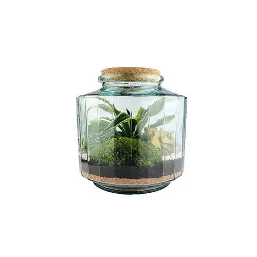 Terrarium autonome Napoli M botanic® - Ø 23 x 25 cm