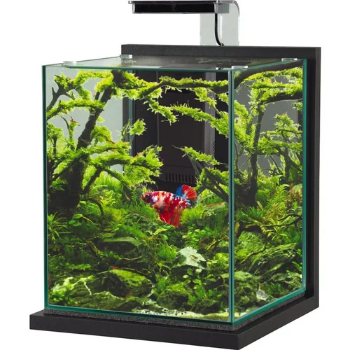 Kit aquarium Jalaya XL coloris gris anthracite Zolux - 25 x 25 x 30 cm