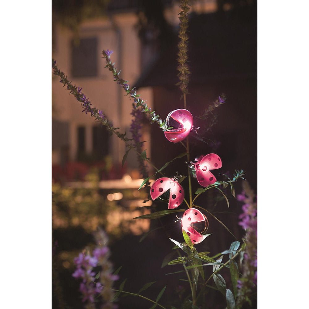 Décoration solaire Coccinelle clipsable- 2 Lumens- Eclairage extérieur Jardin – Réf. IWOLNVIJS3660463597