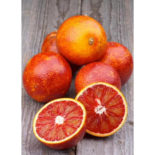 Orange sanguine Moro bio d'Italie - Prix au kg