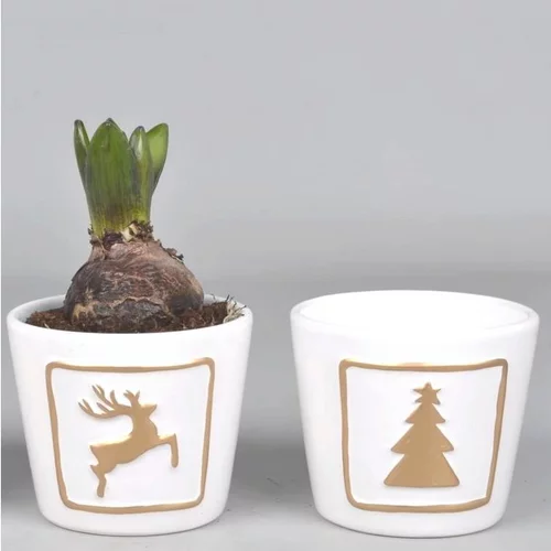 Jacinthe en pot décoratif de 10 cm