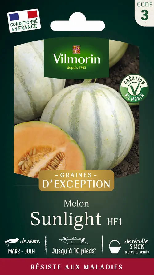 Graines de melon lisse sunlight coloris orange Vilmorin jardin jardin - graines à semer