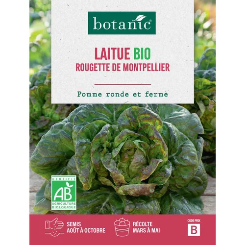 Graines de laitue rougette de Montpellier bio botanic® - graines à semer