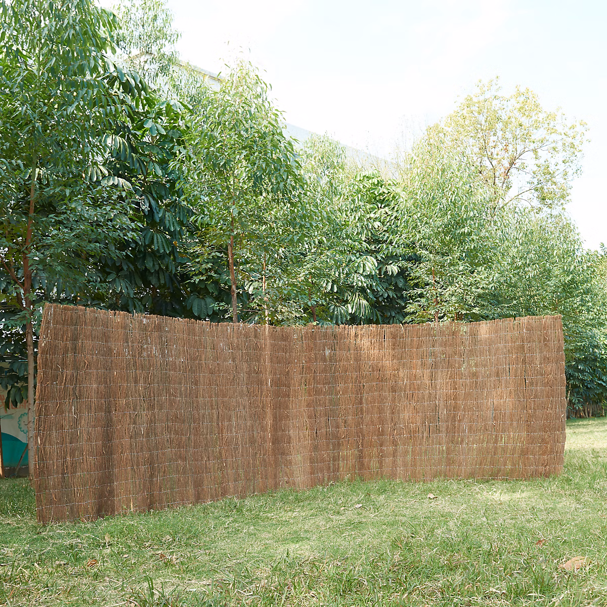 Brise – vue en brande de bruyère Brielle 1 | 5 kg / m² 500 × 100 cm casa.pro