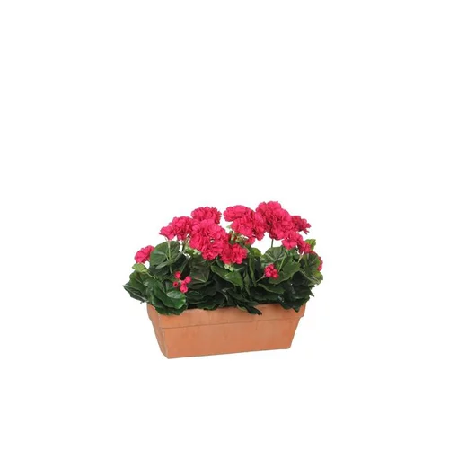 Géranium rose foncé plante artificielle jardinière Terra 39x13x40 cm