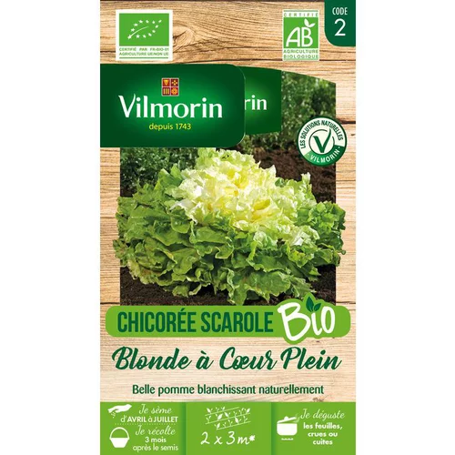 Graines de chicorée scarole blonde à cœur Vilmorin - graines à semer