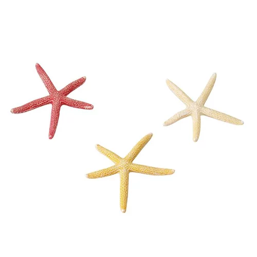 Etoile de mer taille S - Ø 10 cm
