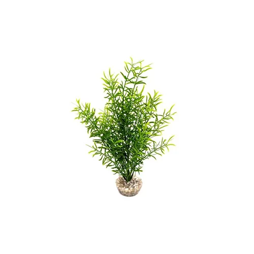 Sprengeri haut vert en plastique 26 cm