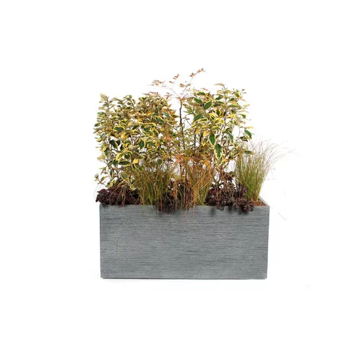Bac rectangle Stream XXL S/2 anthracite H.43 cm