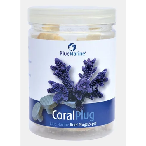 Bm Coral Plug 24 pièces