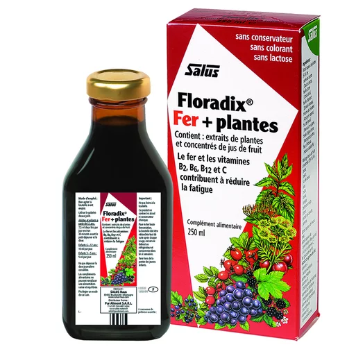 Floradix fer + plantes formule liquide 250 ml