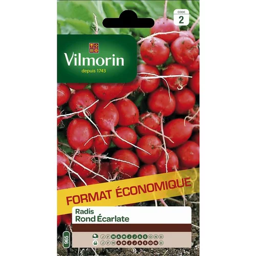 Graines de radis écarlate Vilmorin - graines à semer