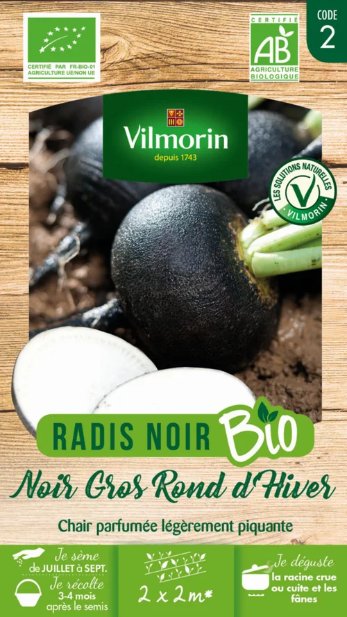 Radis Noir Gros Rond d'hiver Bio Vilmorin - graines à semer