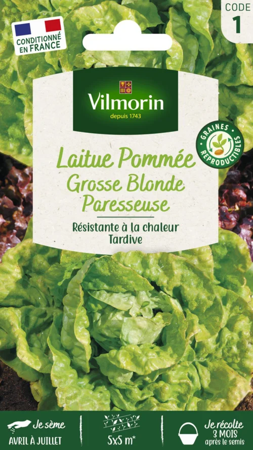Laitue Pommée Grosse Blonde Paresseuse Vilmorin - graines à semer