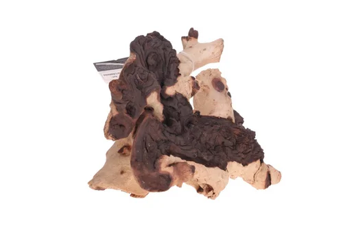 Racine décorative pour aquarium ou terrarium coloris marron Aquavie Mopani - Taille MM+