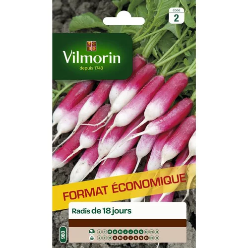 Graines de radis de 18 jours Vilmorin - graines à semer