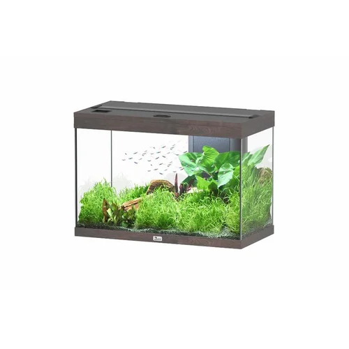 Aquarium 146 litres équipé LED 2.0 et filtre Aquatlantis Splendid chêne foncé - 80 x 40 x 56 cm