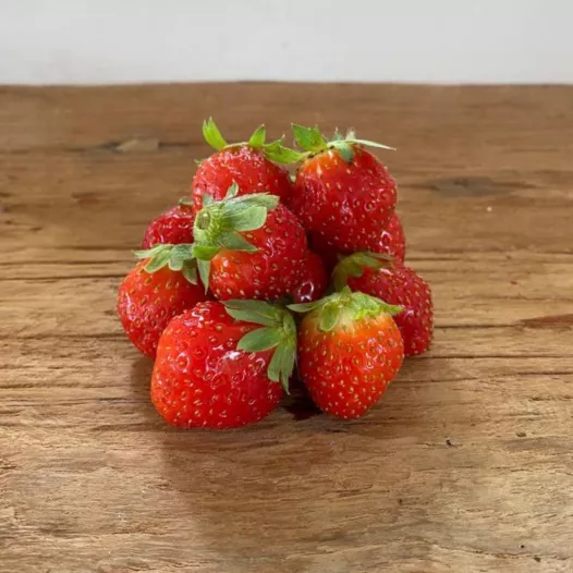 Bio Aardbeipoot Mara des Bois - 12 poten - Kaliber B