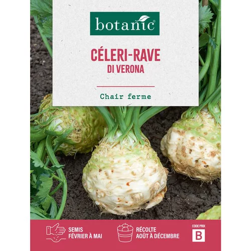 Graines de céleri rave di Verona botanic® - graines à semer