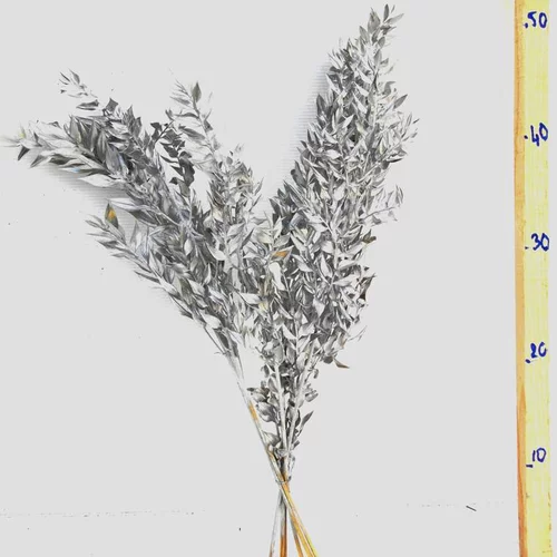Bouquet de 4 à 5 branches de ruscus (petit-houx) teinté or et argent pour décoration de Noël