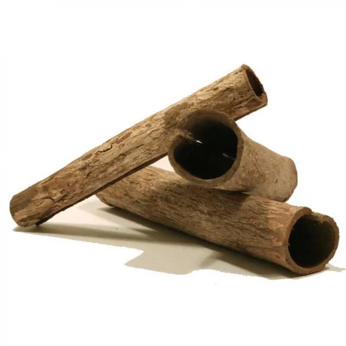 Tubes de Cattapa naturels, SUPERFISH - lot de 3
