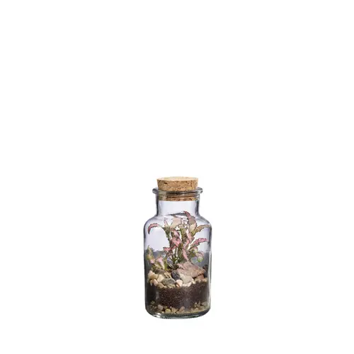 Terrarium autonome Baratte L botanic® - Ø 8,2 x 17,2 cm