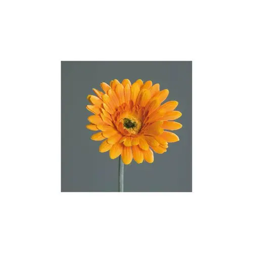 Tige de Gerbera décoratif orange - 56 cm