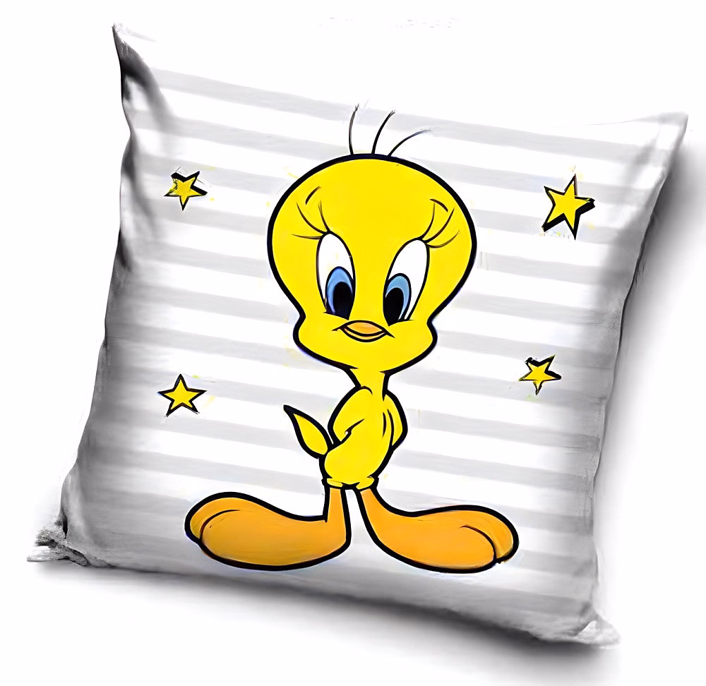 Coussin Looney Tunes – coussin décoratif 40 × 40 cm