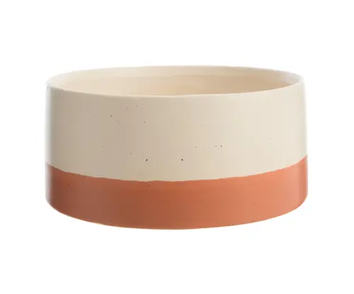 Coupe Cactus coloris beige en céramique - 16,5 x 16,5 cm x 7 cm