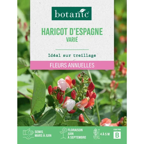 Graines de fleurs d'Haricot d'Espagne varié botanic®