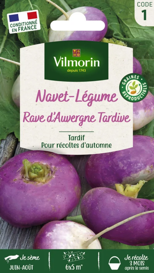 Navet Rave d'Auvergne tardif Vilmorin - graines à semer