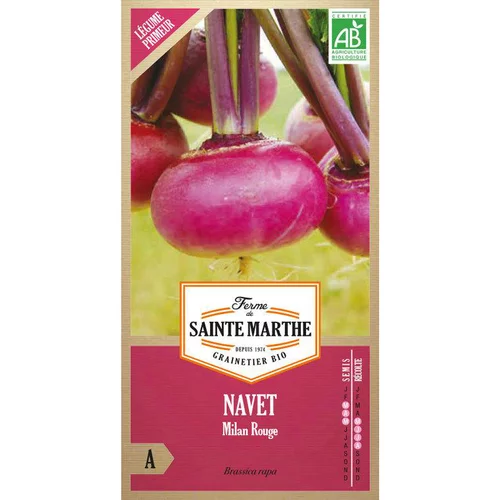 Graines de navet de Milan Rouge bio Ferme de Sainte Marthe - graines à semer