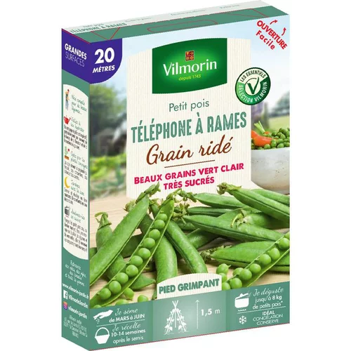 Graines de petit pois téléphone à rames grain ridé Vilmorin - graines à semer