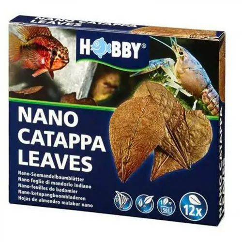 Feuilles de badamier nano catappa, pack de 12, HOBBY