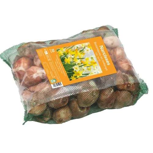 Narcisse botanique en filet botanic® - 50 bulbes