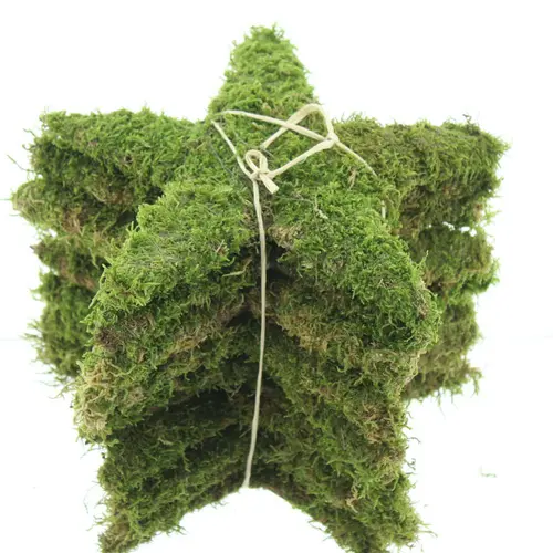 Étoile en mousse coloris vert – Ø 30 cm