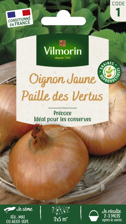 Oignon Jaune Paille des Vertus Vilmorin - graines à semer
