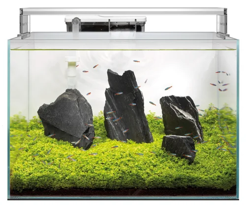 Aquarium tout équipé en verre blanc Superfish Scaper 90 - 60 x 40 x 38 cm